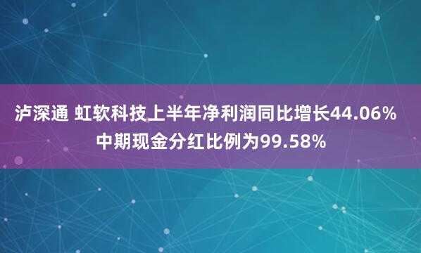 泸深通 虹软科技上半年净利润同比增长44.06%  中期现金分红比例为99.58%