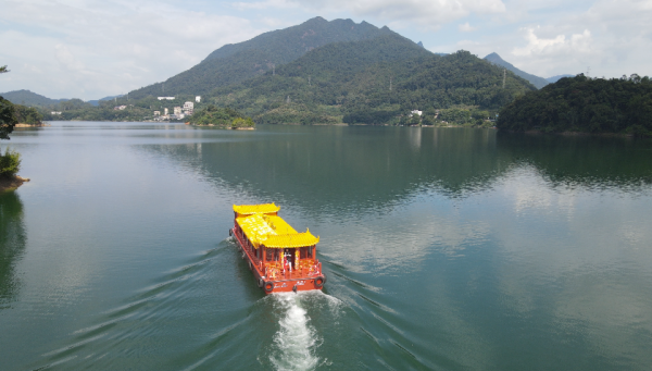 股民之家 国庆赏鹭正当时！流溪湖游船重新开放